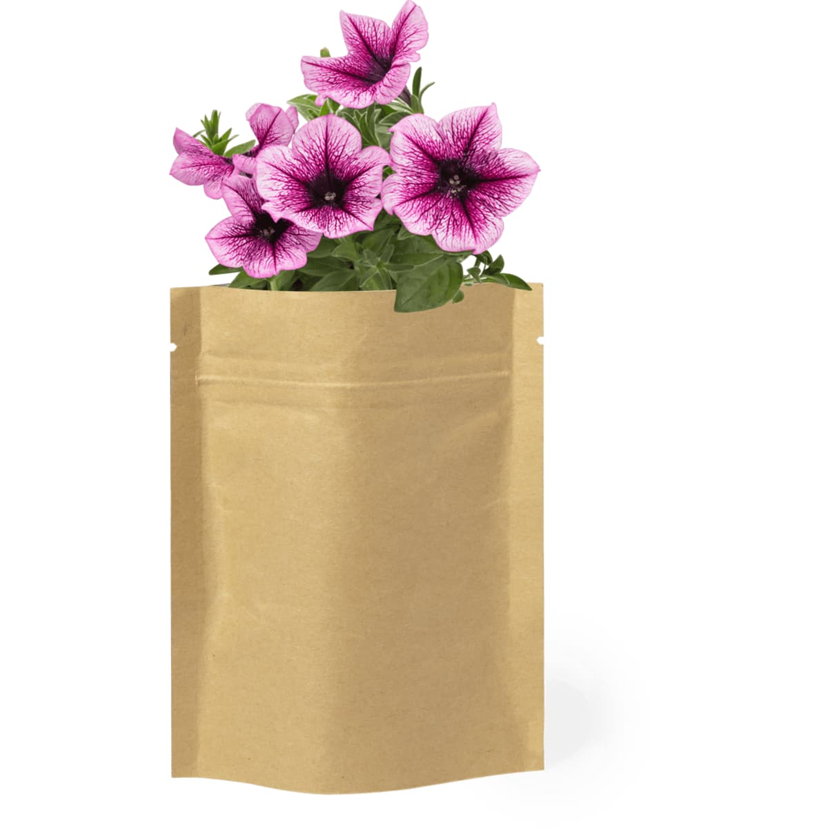 A brown pouch containing vibrant purple and pink petunia flowers, featuring a natural, eco-friendly design.
