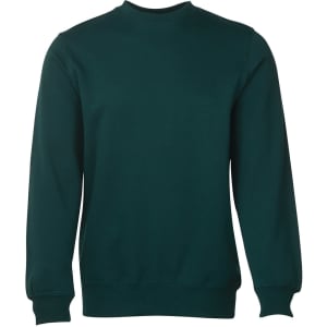 A green jumper with long sleeves and a round neckline. It features a simple design with no visible logos.