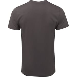 A grey fitted T-shirt with a classic crew neckline and short sleeves, featuring a logo on the back.