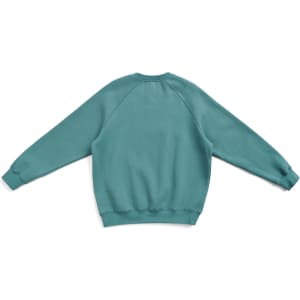 A teal adults' cotton care sweatshirt with long sleeves and a relaxed fit, featuring a simple design.