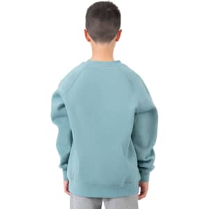 A teal cotton sweatshirt with a relaxed fit, featuring raglan sleeves and a simple design, viewed from the back.