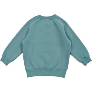 A mint green kids' sweatshirt featuring a crew neck and long sleeves, with ribbed cuffs and hem. It has a logo.