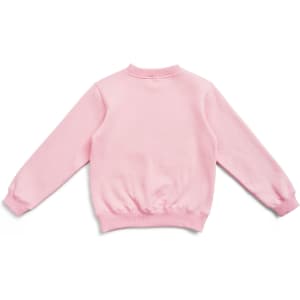 A pink crew neck jumper with long sleeves and ribbed cuffs, featuring a plain back.