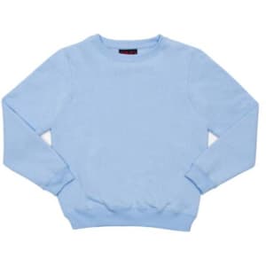 A light blue kids' crew neck jumper with long sleeves and ribbed cuffs. Features a logo on the inside neck.