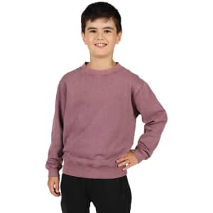 A boy wearing a mauve stone wash sweatshirt, with a relaxed fit and round neckline. The garment has a logo.