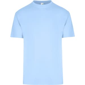 A light blue unisex regular T-shirt with short sleeves and a round neckline. It features a logo on the inside label.