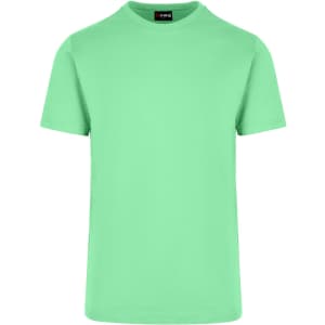 A mint green, unisex American style t-shirt with a round neckline and short sleeves. It features a logo on the label.