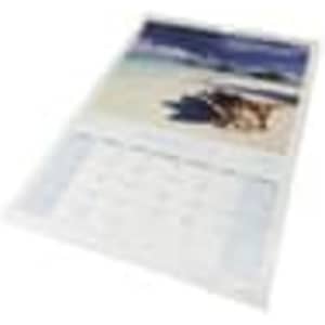 A3 wiro bound wall calendar featuring beach imagery and a grid layout for dates, predominantly in white and blue tones.