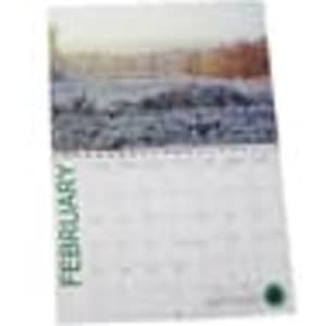 A4 wiro bound wall calendar featuring a scenic landscape for February, with a white background and green accents.