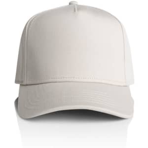 A light grey cap with a structured brim and an additional logo on the front.
