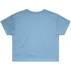 A light blue crop tee featuring a simple design and an unmarked back. It has a relaxed fit and short sleeves.