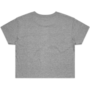A grey cropped t-shirt with short sleeves and a plain back. It features a logo.