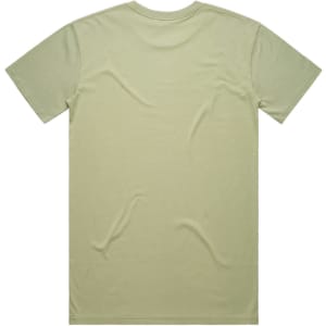 A light green t-shirt with a smooth texture, featuring a simple design and a logo on the back.