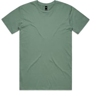 A green staple tee with a crew neck and short sleeves, featuring a simple design and a logo label.