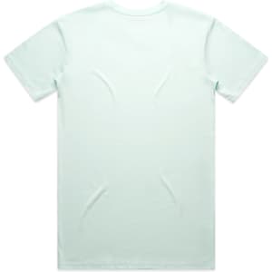 A mint green t-shirt displayed on a white background, featuring a plain back with no designs or text.