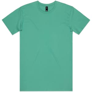 A plain mint green t-shirt featuring a tag and no visible graphics or designs.