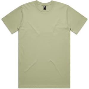 A light green Classic Tee t-shirt with a round neckline and short sleeves. It features a logo on the inner label.