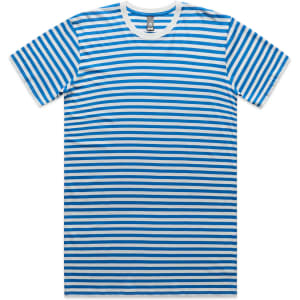 A striped T-shirt featuring blue and white stripes, with a round neckline and short sleeves. It has a logo.