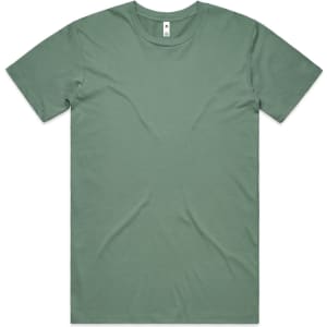 A basic tee in a soft sage green colour, featuring a simple design and a small logo at the neckline.