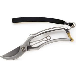 A pair of stainless steel secateurs with a black strap and a metal clasp for ease of carrying.