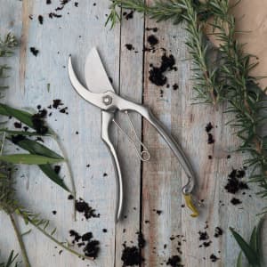 A pair of stainless steel secateurs with silver handles on a rustic wooden surface surrounded by greenery and soil.