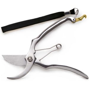 A pair of stainless steel secateurs with a black strap and a small hook at the end.