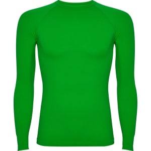 A green long-sleeved t-shirt with a fitted design and raglan sleeves. It features a logo.