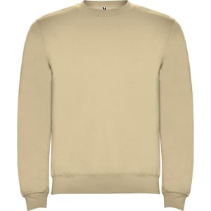 A beige sweatshirt with a crew neckline and ribbed cuffs. It features a logo on the inside neck.