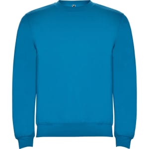 A blue sweatshirt featuring a crew neck and long sleeves. It includes a logo on the front.