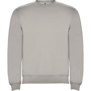 A grey sweatshirt with a crew neck and long sleeves, featuring a small logo.