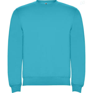 A turquoise sweatshirt with a crew neck and ribbed cuffs, featuring a logo on the chest.