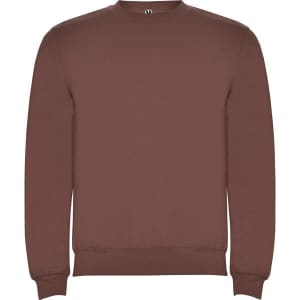 A brown sweatshirt with a round neckline and long sleeves. It has a simple design and a brand logo on the neck.