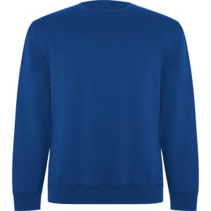 A blue Batian sweatshirt with a classic crew neck and long sleeves, featuring a branded logo.