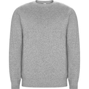 A grey sweatshirt with a crew neck and long sleeves, featuring a simple design and no visible branding.