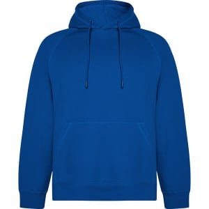 A blue hooded sweatshirt with a kangaroo pocket and a drawstring hood. It features a logo.