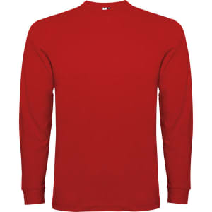 A red long sleeved t-shirt with a crew neck and long sleeves, featuring a logo on the back.