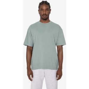 A short sleeve crewneck tee in a soft green colour, featuring a relaxed fit and a branding logo.