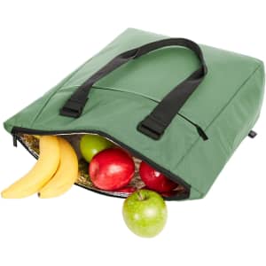 A green cooler bag with black handles, filled with red apples, a green apple, and bananas.