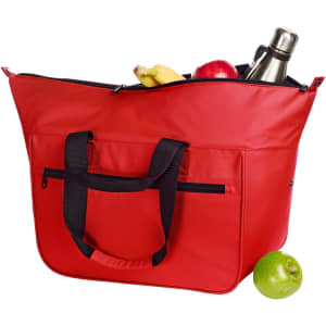 A large red cooler bag with black handles, filled with a drink bottle, bananas, apples, and a green apple.