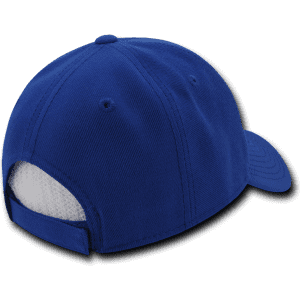 A blue 6 panel low profile structured cap viewed from the back, featuring a logo on the side.