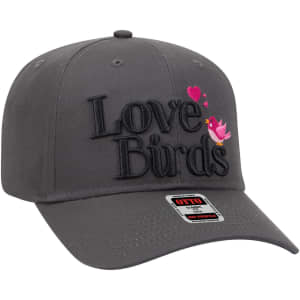 A grey 6 panel mid-profile baseball cap featuring an embroidered design with pink birds and hearts, along with a logo.