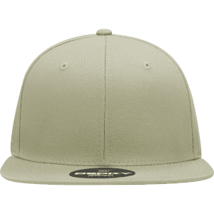 A structured snapback cap in light green featuring six panels and a branded label on the side.