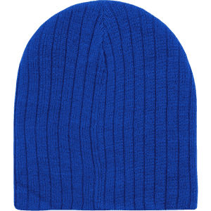 A blue ribbed beanie with a snug fit and a textured design. It features a branding logo.