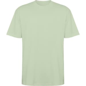 An oversized t-shirt in a soft green shade, featuring short sleeves and a round neckline. It has a logo.