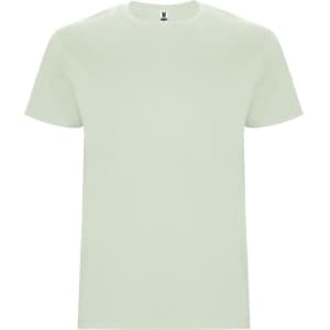 A light green Stafford T-Shirt with a round neckline and short sleeves, featuring a logo.