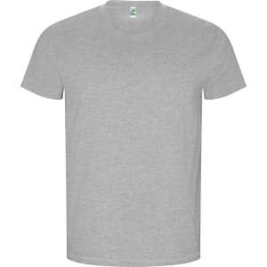 A grey t-shirt with short sleeves and a round neckline. It features a logo on the label inside.