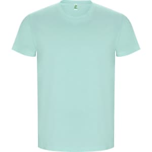 A mint green t-shirt with a classic crew neck and short sleeves. It features a logo on the label.
