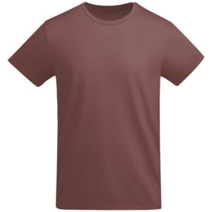 A brown T-shirt with short sleeves and a simple, classic design. It features a small logo.
