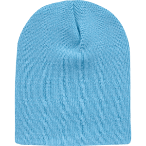 A light blue watch cap without a cuff, featuring a seamless knitted design and a simple logo.