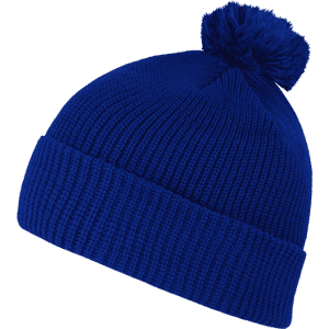 A blue acrylic beanie with a pom pom on top and a cuffed design. It features a brand logo.